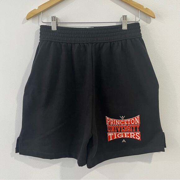 Vintage Velva Sheen Princeton Tigers Shorts Large Collegiate Campus - Picture 3 of 11